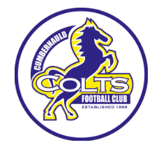 NEXT HOME GAME - Saturday, 24 January v Camelon (2.30pm)